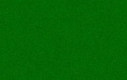 Plast. Ad.Rotolo Velluto Verde45X100Cm