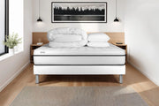 Pacchetto letto completo - Materasso 160x200cm + Box spring con doghe (kit) + 2 cuscini + Piumino - Vital Spa
