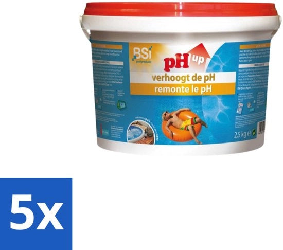 Correttore di pH in polvere - Aumenta pH per piscine e spa - 2,5 kg - Confezione in bulk - 5 pezzi