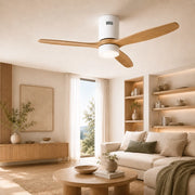 Ventilatore da soffitto con luce e telecomando incluso THOMSON NOUR