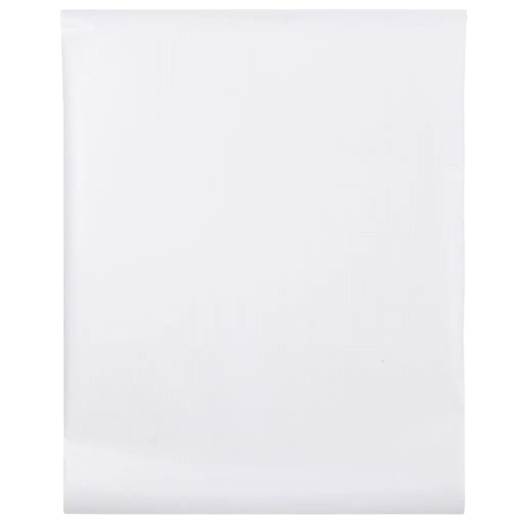 Pellicola per Finestra Smerigliata Grigia 60x500 cm PVC 155734