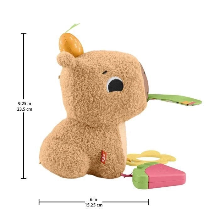IL MIO CAPYBARA ABBRACCIA