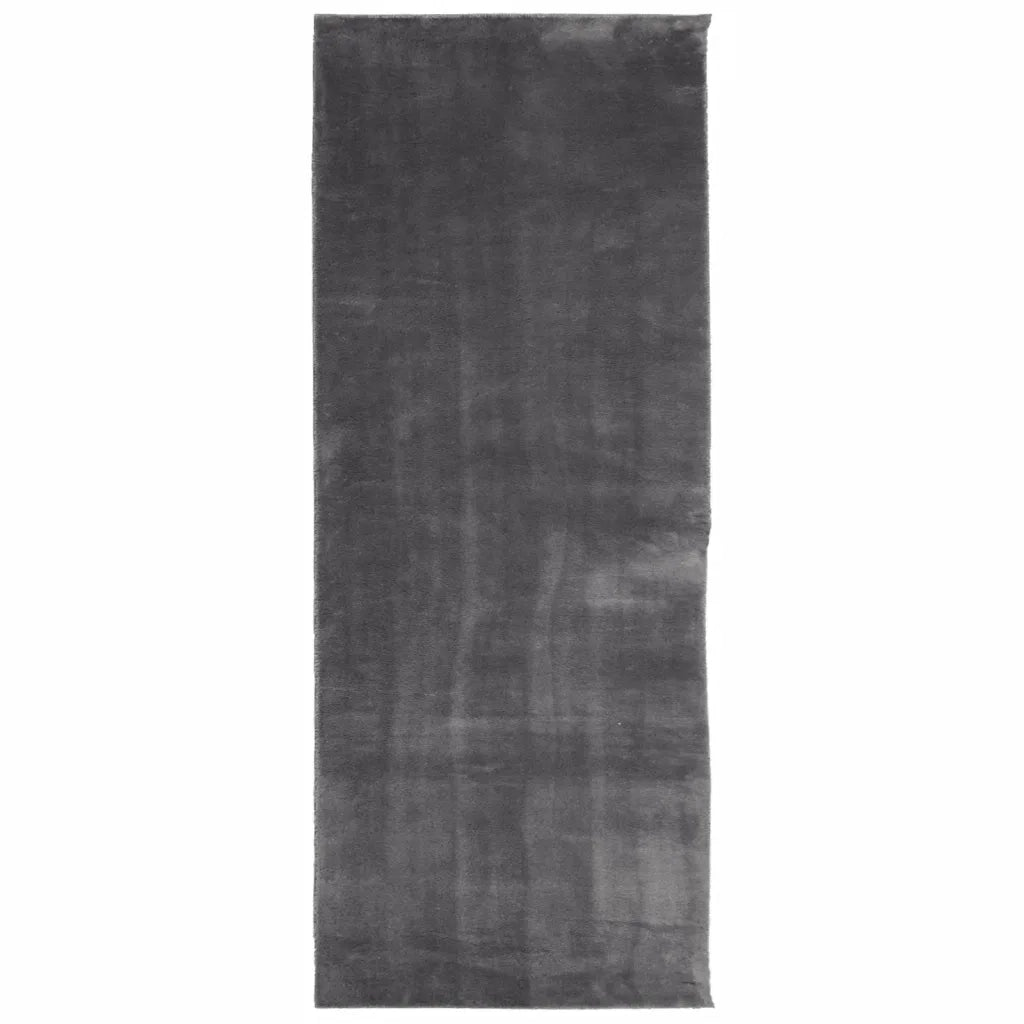 Tappeto del soggiorno | Tappeto a Pelo Corto HUARTE Morbido Lavabile Antracite 80x200cm