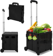 Carrello per spesa - con 2 ruote fino a 40 KG - Carrello per spese - 45 L - per spese, viaggi e campeggio - Nero