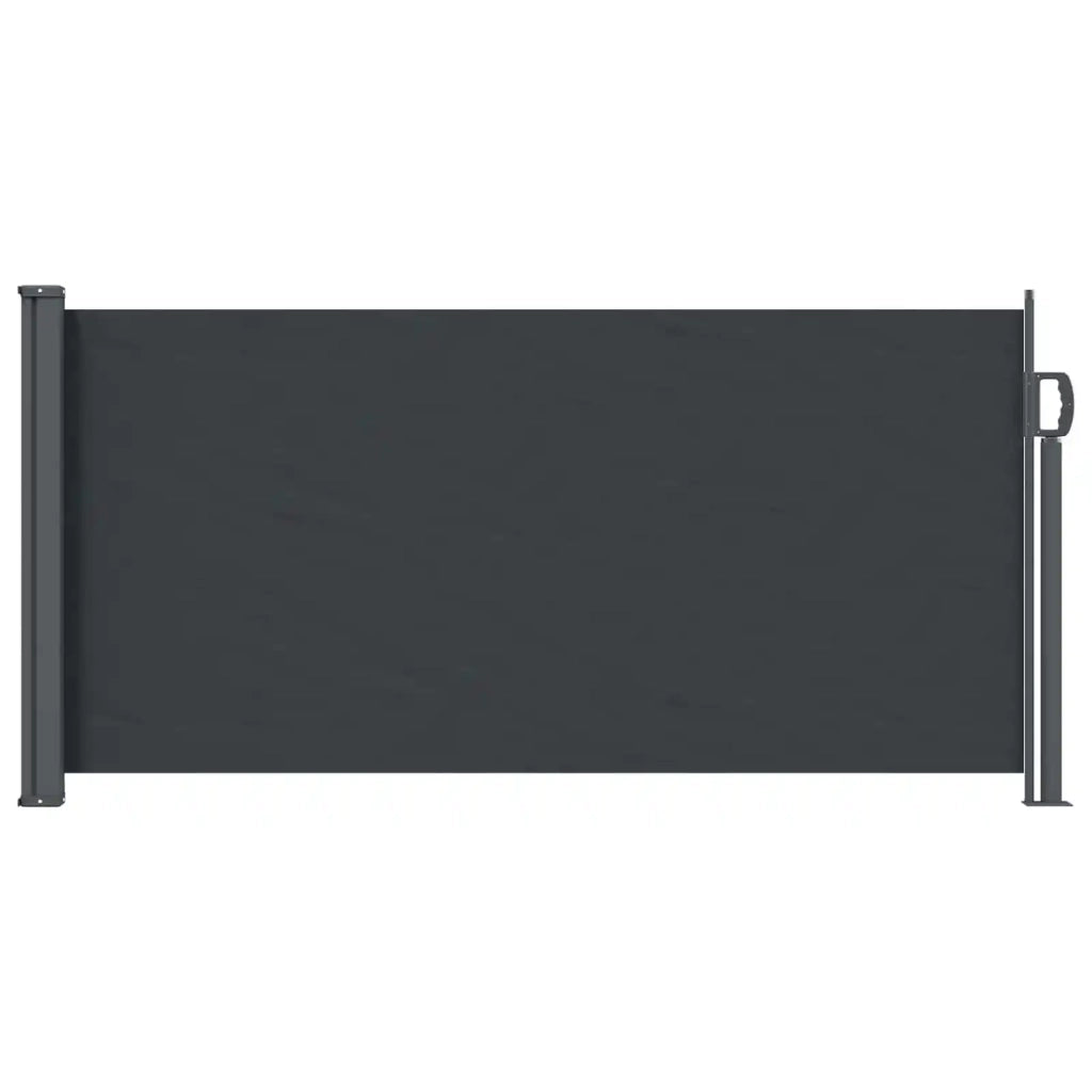 Tenda laterale retrattile Nero 300 x 100 cm Poliestere