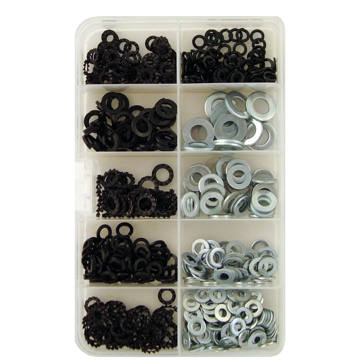 Ass.Rondell.Pian-Dent-Grow.Pz630