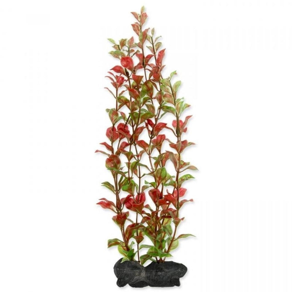Tetra Pianta Decorativa in Plastica Modello Red Ludwigia (Ludwigia Repens) varie misure Modello: L