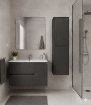 Mobile Bagno HEIMDALL Già Montato 2 cassetti e porta, lavabo e specchio Grafite 80x45 cm con colonna