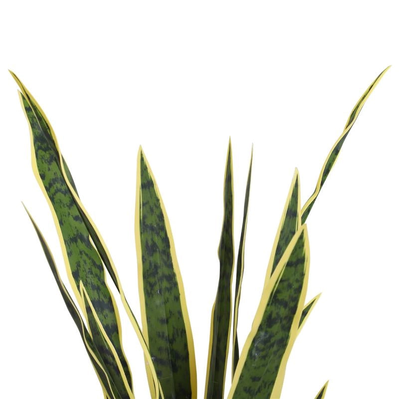 SANSEVERIA ARTIFICIALE PIANTA DA ESTERNO E INTERNO CON VASO DECORATIVO REALISTICA VERDE E GIALLO ?15CM X 80CM
