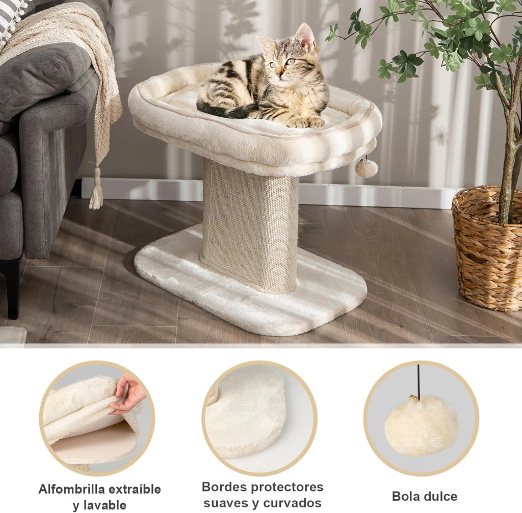 Tiragraffi piccolo, altezza 50 cm, tiragraffi per gatti con seduta in peluche e colonna in sisal e palla, albero da arrampicata in legno stabile, per gatti