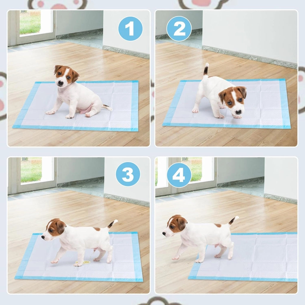 Coprimaterasso per cani e gatti, 60 x 90 cm, usa e getta a 5 strati, anti-perdita, tappetino educatore per cani comodo, super assorbente, apprendimento della pulizia (60 x 90 cm, 150 pezzi)