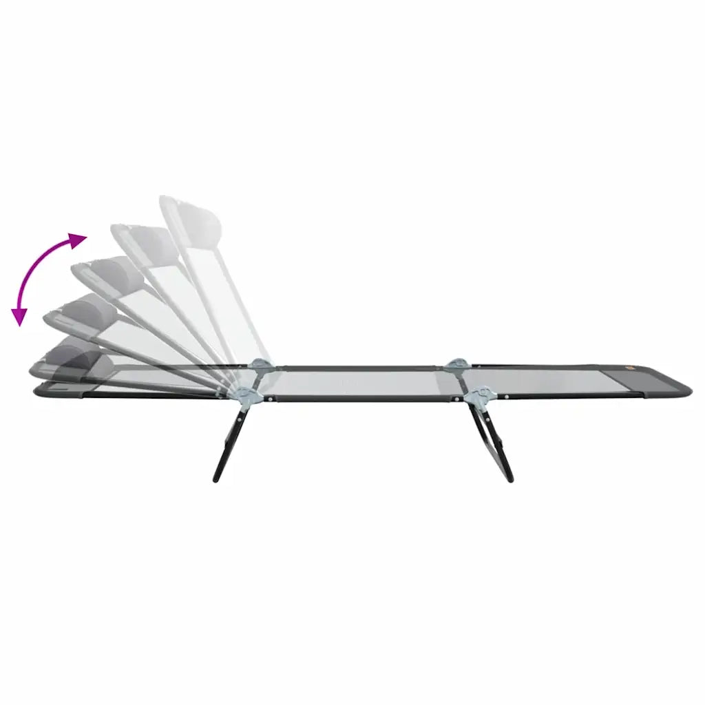Lettino Prendisole | Sdraio da giardino | Lettino da sole pieghevole Grigio 182 x 55 x 85,5 cm