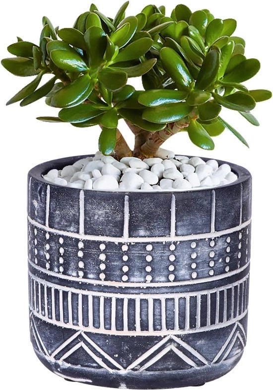 Pannelli di coltivazione moderni con fori di drenaggio per interni 125 cm - vasi per piante grasse e cacti - vasi decorativi per casa e ufficio (grigio)