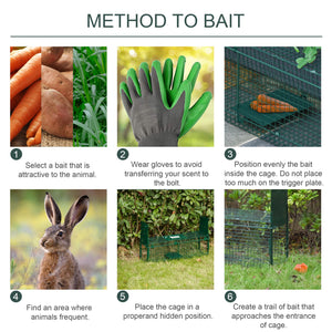 Gabbia Trappola per Animali Vivi Piccoli con Doppia Porta e Maniglia 60x18x20cm Verde Scuro