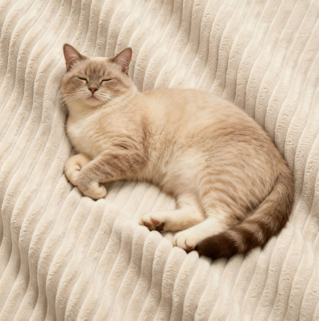 Divano angolare modulare senza struttura rigida; 295x295x69 cm; corduroy beige