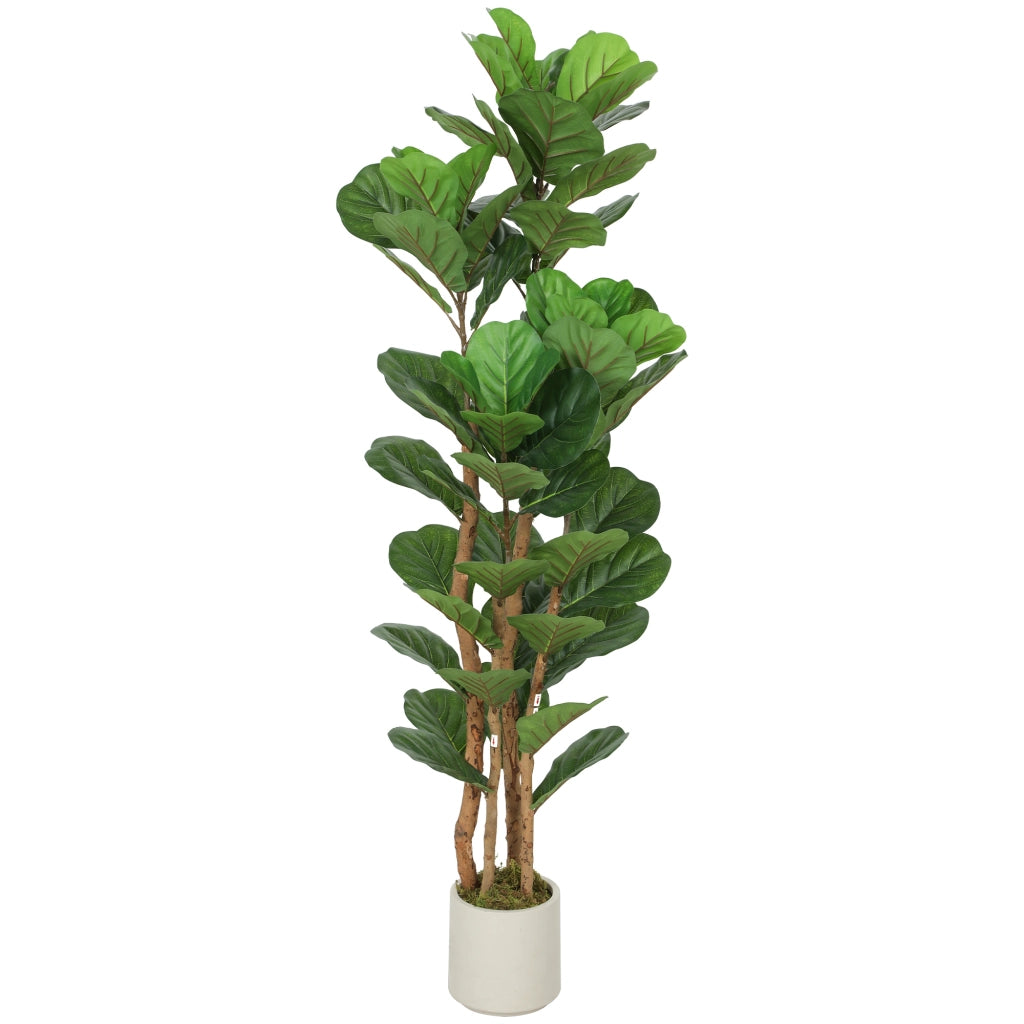 Albero di Ficus Artificiale ¨C zephmum ¨C Verde 50x50x150 cm