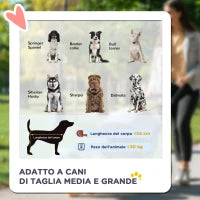 Passeggino per Cani di Taglia Media con 4 Ruote, Borsa Portaoggetti e Finestra a Rete, 107x67x102 cm, Grigio
