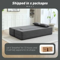 Divano letto 2 posti in schiuma, con braccioli larghi, 2 cuscini, portata 360 kg, Grigio