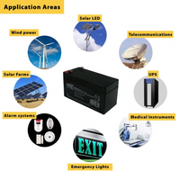 Batteria piombo 12 volt 1,3 ampere ricaricabile