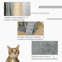 Albero Tiragraffi per Gatti con Trespolo, Casetta, Rampa e Pallina, in Legno e Peluche, 60x40x100 cm, Grigio Chiaro