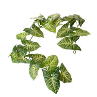 Set 2 Ghirlande 130 cm Syngonium 24 Foglie Real Touch