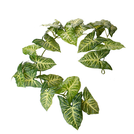 Set 2 Ghirlande 130 cm Syngonium 24 Foglie Real Touch