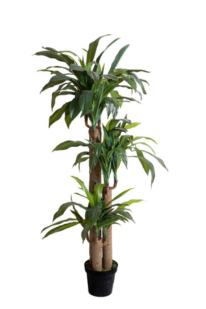 Pianta Artificiale Tronco Della Felicità con Vaso H 150 cm