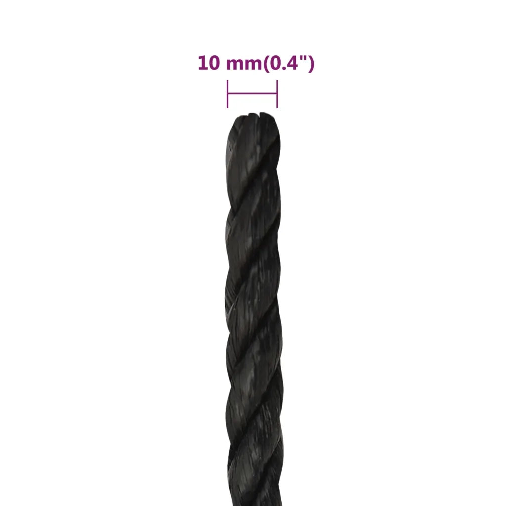 Corda da Lavoro Nera 10 mm 25 m in Polipropilene 153011