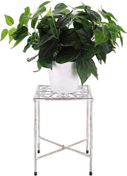 Supporto per Piante in Metallo - Piastra per Fiori per Interno Esterno a Effetto Distress Bianco (Non Incluso il Piantino)