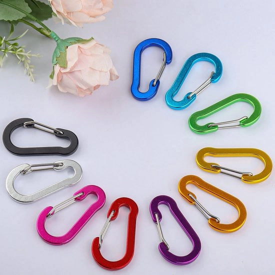 Set di 10 Haeci Karabiniere Mini in Alluminio, a forma di D, Leggeri, Ideali per Campeggio/Pesca/Escursione