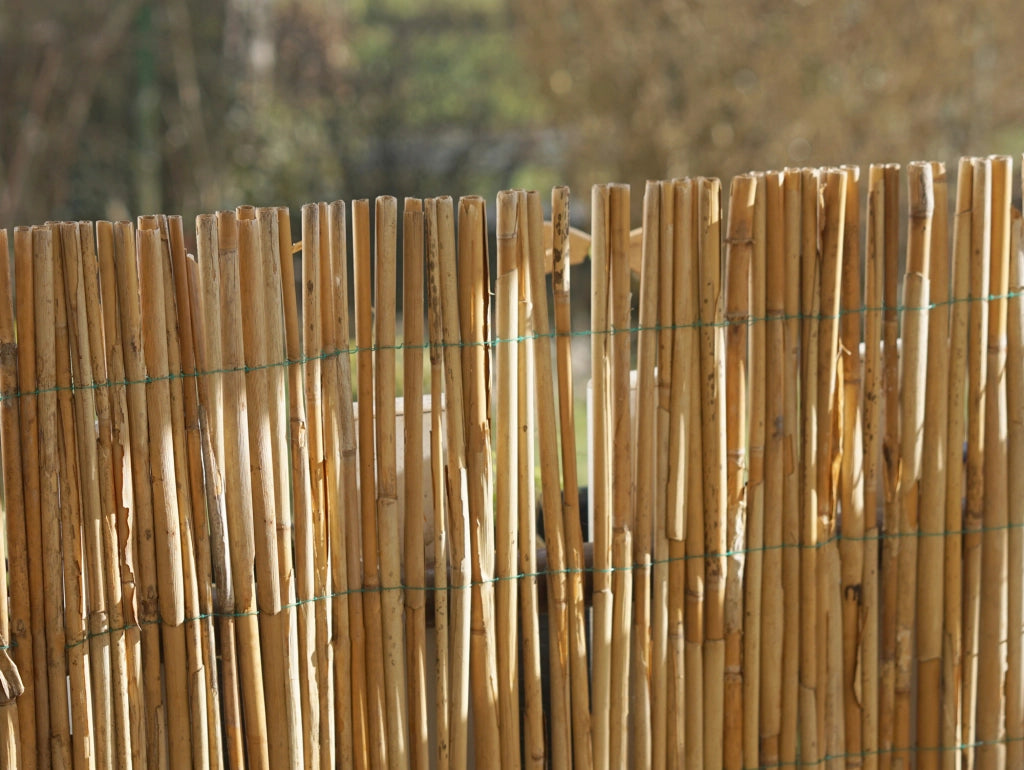 Arella In Bambù Per Recinzioni Frangivento Canne Di Bamboo Naturale Naturale - 1x3 M