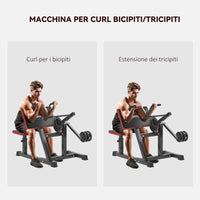 Panca Romana 2 in 1 per Curl e Tricipiti Regolabile 105x95x80 cm Nero