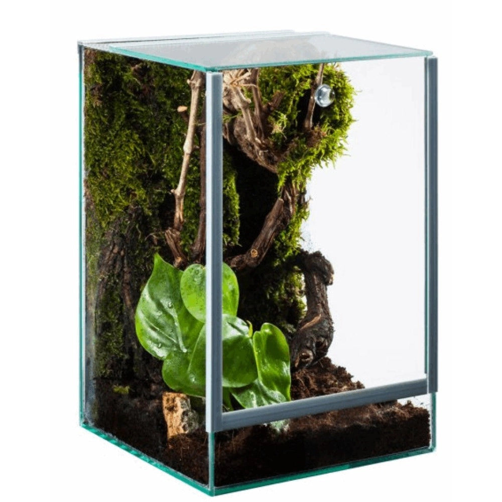 Diversa Terrario in Vetro con Apertura Scorrevole Dimensioni: cm15x15x20h (nano)