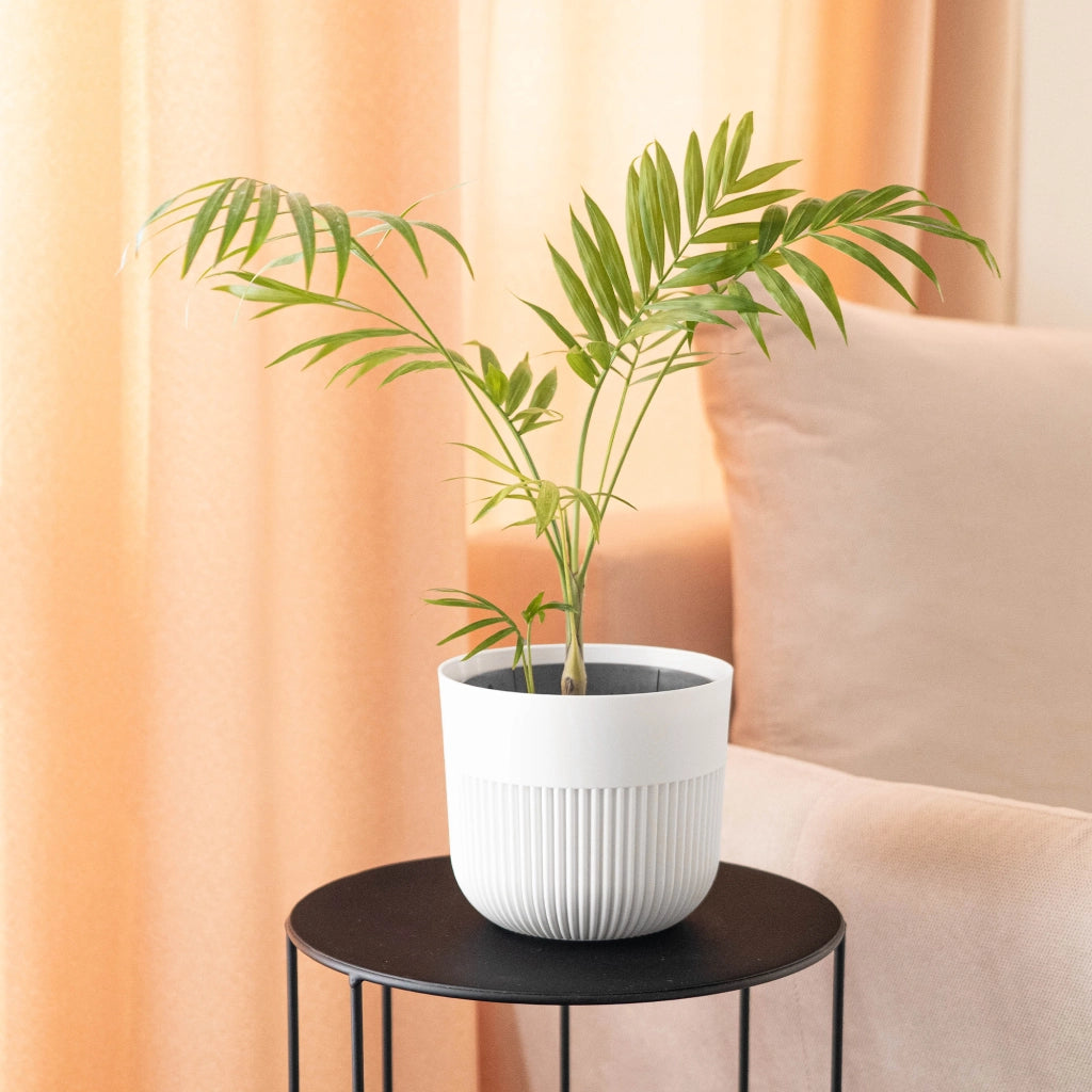 Vaso da fiori KADAX, Coprivaso, 17 cm, Plastica, Rotondo, A coste, Bianco