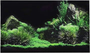 Poster per acquario 3D - Decorazione per acquario - Materiale PVC - Impermeabile - Autoadesivo - 91 x 50 cm - Sostanzialmente inerte e non tossico - Fondale per acquario