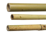 25 PZ CANNE CANNA DI BAMBOO PALI PALETTI TUTORE H.210 CM SPESSORE  26/28