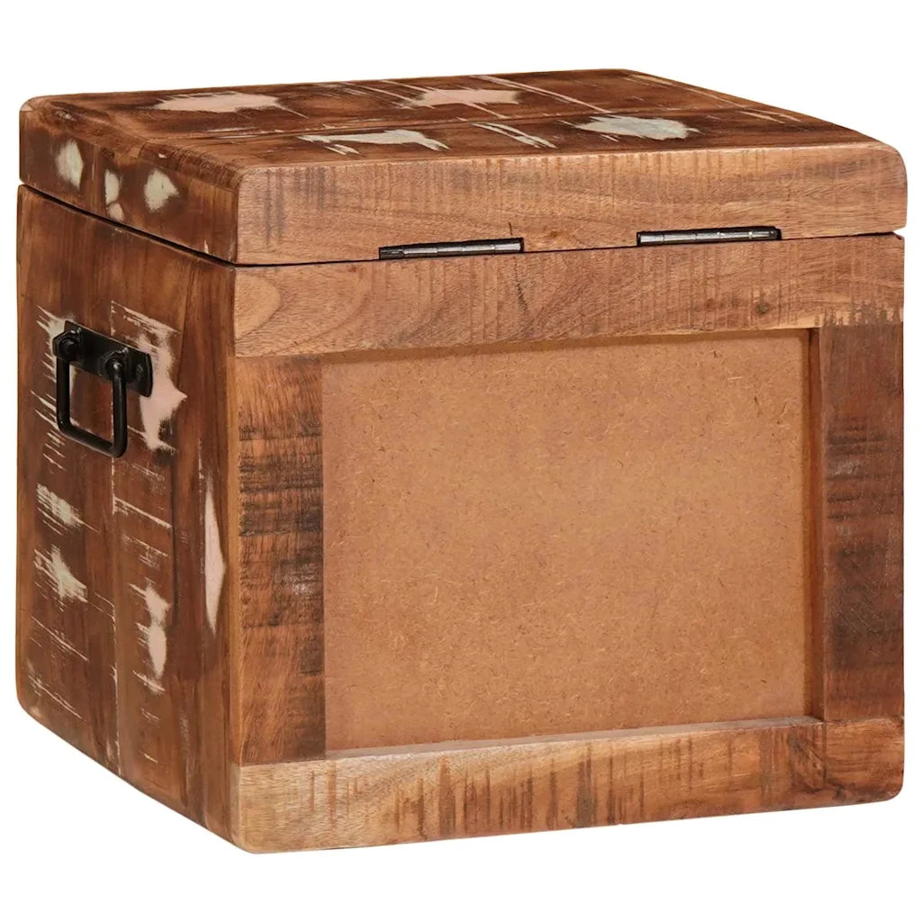 Scatola di Stoccaggio con porta Marrone Legno di mango massello 4104570