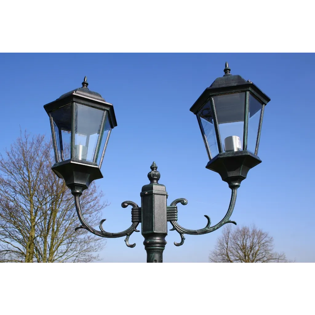 Lampione da Giardino 2 Bracci 230 cm Verde Scuro/Nero Alluminio CFW7938719