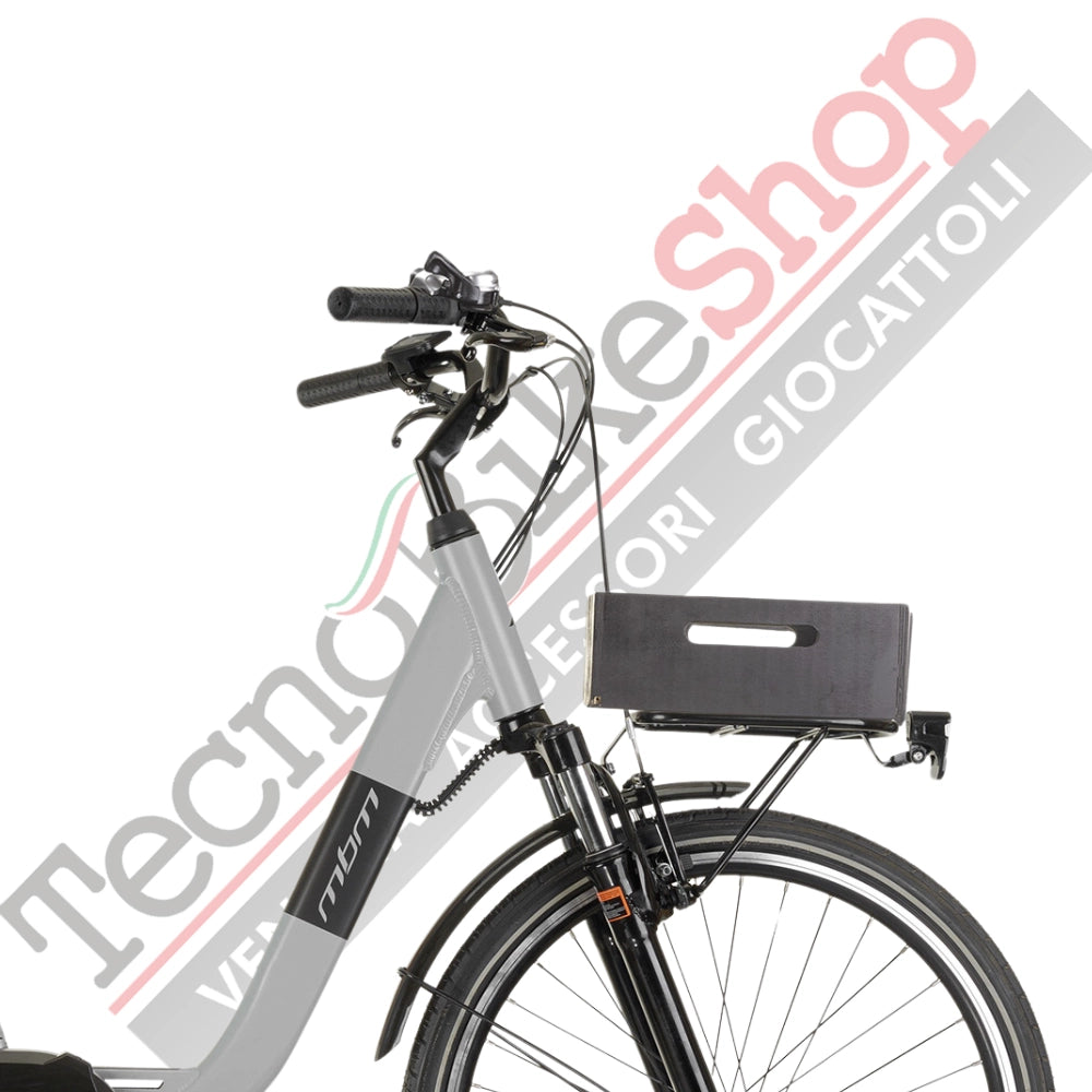 Bicicletta Elettrica A Pedalata Assistita MBM Rhea 26"-Grigio