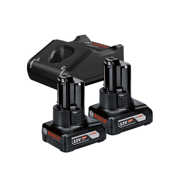 KIT 2 BATTERIE BOSCH 12V - 6,0 AH E CARICATORE - 1600A01B20