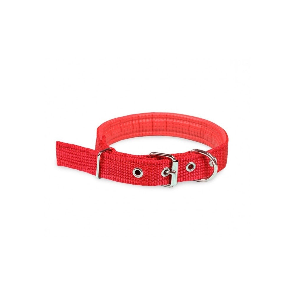Trade Shop - Collare In Nylon Con Imbottitura Per Cani Piccola Tg. Chiusura Fibbia Regolabile -