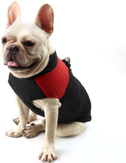 Abbigliamento per cani impermeabile - giacca per cani - giacca calda per cani - giacca per cani piccoli - giacca con D-ring - materiale Polyester/PP-Cotone