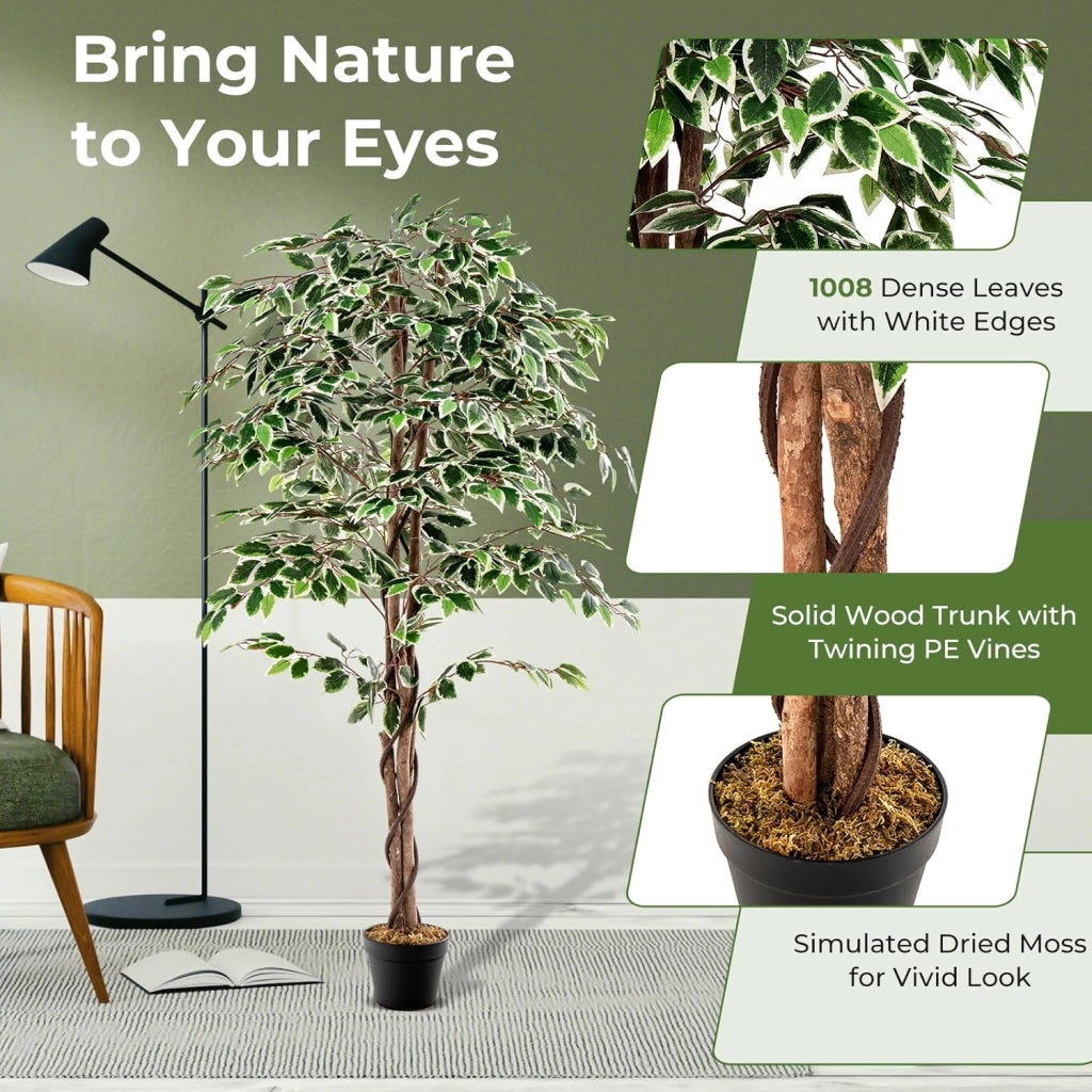 Pianta artificiale 160 cm, pianta artificiale di alta gamma, pianta da appartamento con foglie verdi, vaso riempito di cemento, ficus artificiale con schiuma secca per ufficio, soggiorno