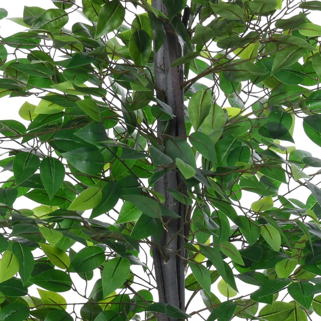 Ficus Artificiale ¨C zephmum ¨C Verde ?20x145 cm