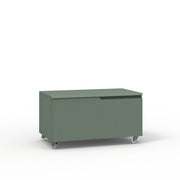 Cassettiera VENERE verde salvia_80x45x42