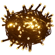 Stringa di Luci con 1000 LED 60 m 8 Effetti Luce IP44 Bianco Caldo CFW5660750