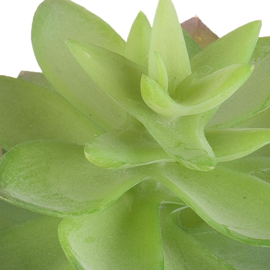 Set 6 Echeveria Cactus Artificiale Altezza 21 cm Verde