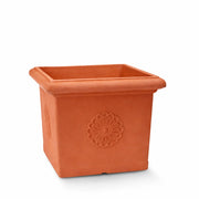 Garden Italia Vaso per Piante Quadro con Rosone GQR 49×41 cm in Resina – Made in Italy, Resistente al Gelo e Antiurto Colore: TERRACOTTA