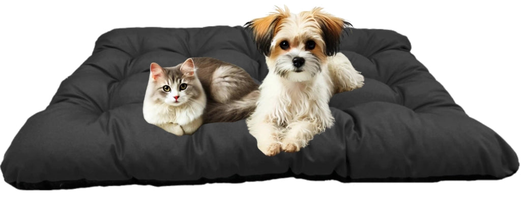AIO FACTORY 80x60 cm PRESTIGE Cuccia per cani impermeabile personalizzabile Nero