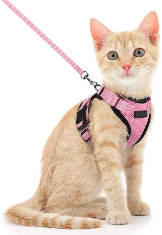 Fasciatoio per gatti adattabile - Fasciatoio con cavo di 150 cm
